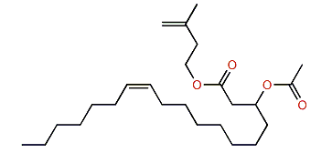 Isoprenyl (Z)-3-acetoxy-11-octadecenoate